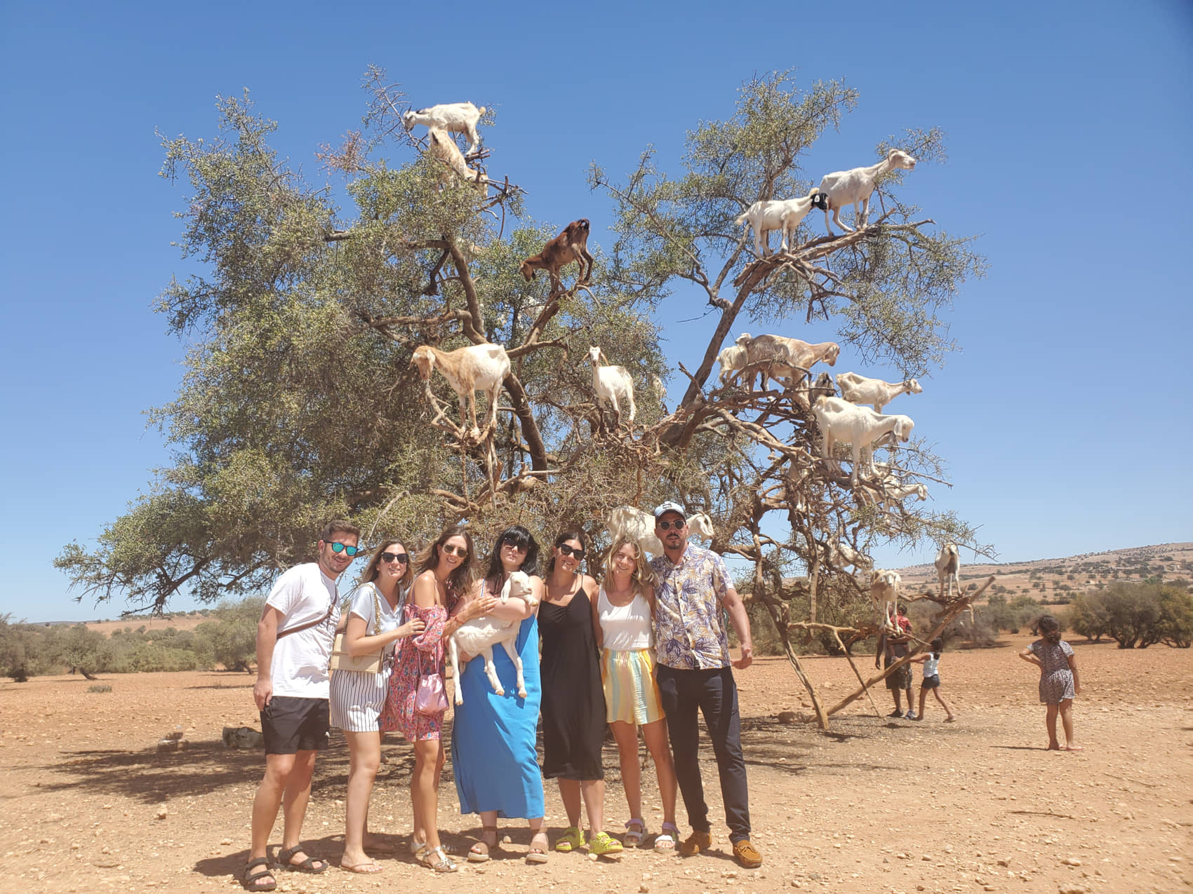 1 Day Excursion to Essaouira City from Marrakech