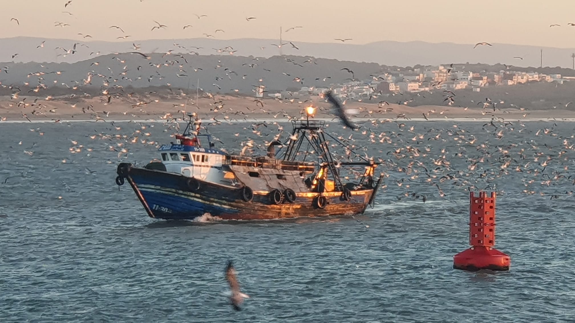 1 Día Excursión a ciudad de Essaouira desde Marrakech