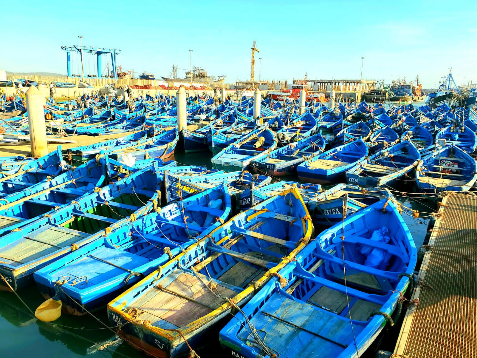 1 Day Excursion to Essaouira City from Marrakech