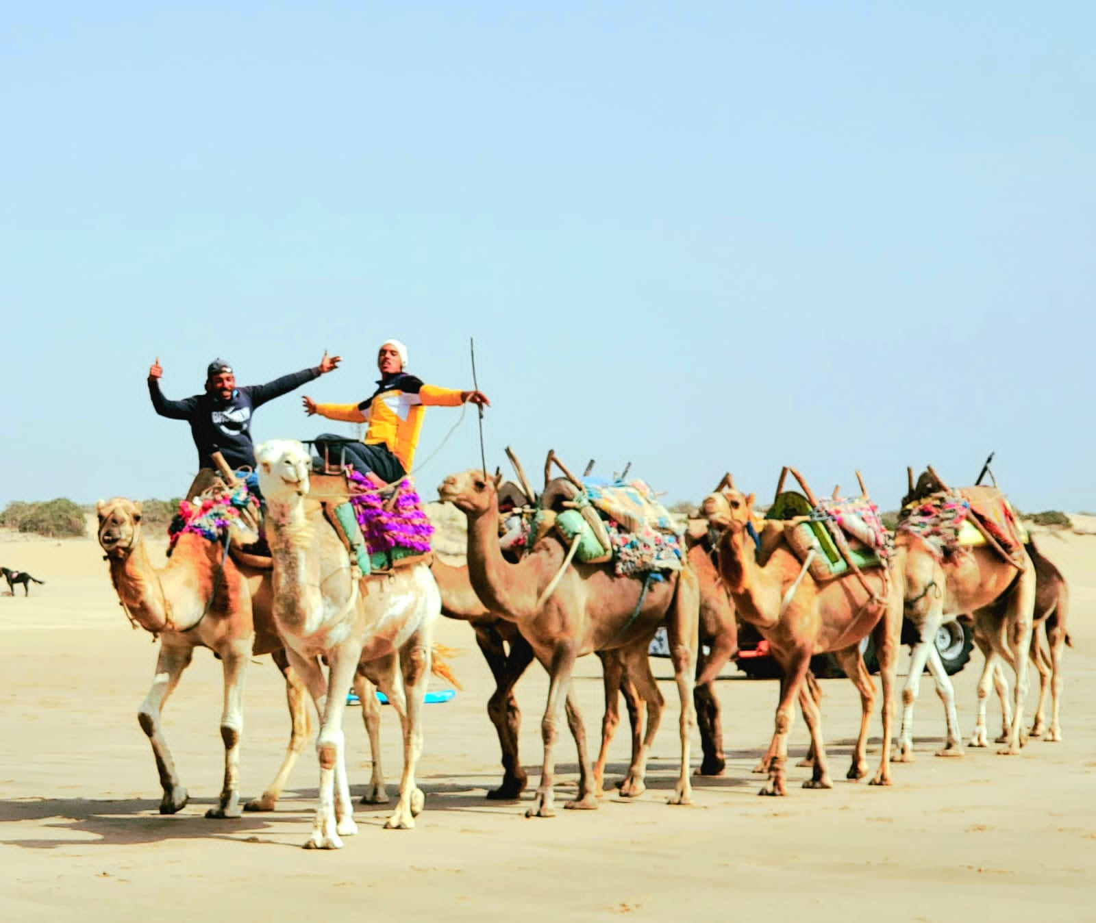 1 Día Excursión a ciudad de Essaouira desde Marrakech