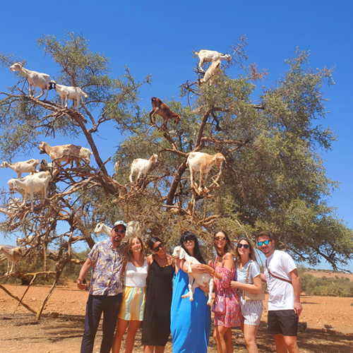 Essaouira