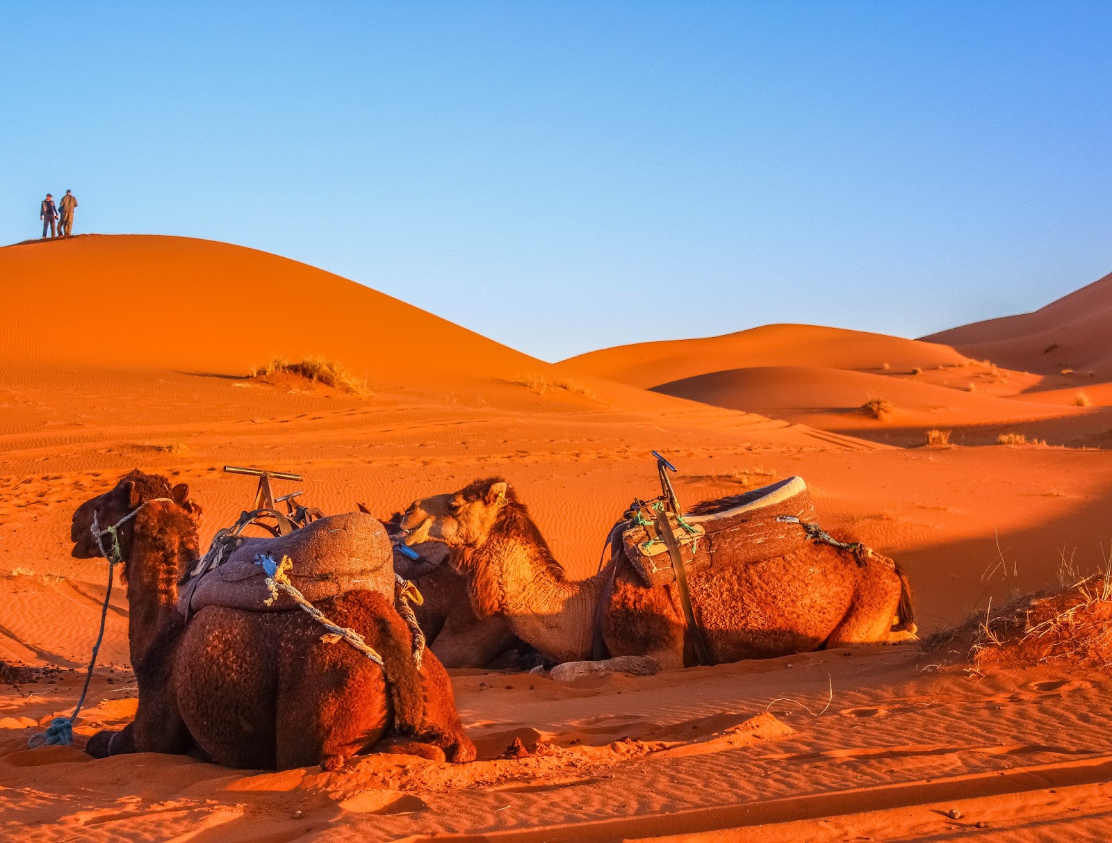 Tour 7 Days from Fes via Merzouga Desert and Marrakech