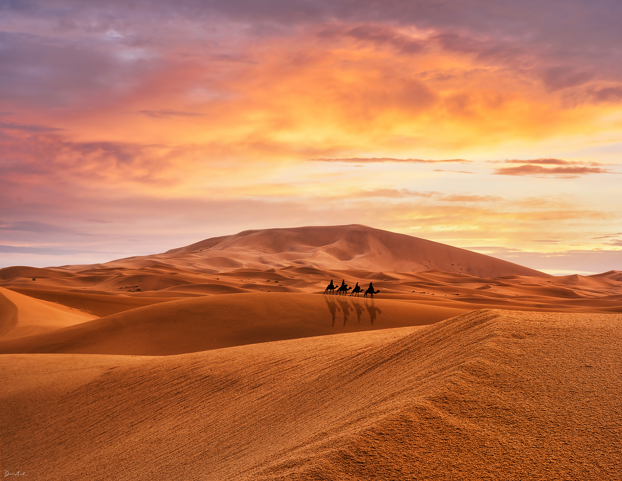 Circuito de 7 Días desde Fes via Al Desierto de Merzouga y Marrakech