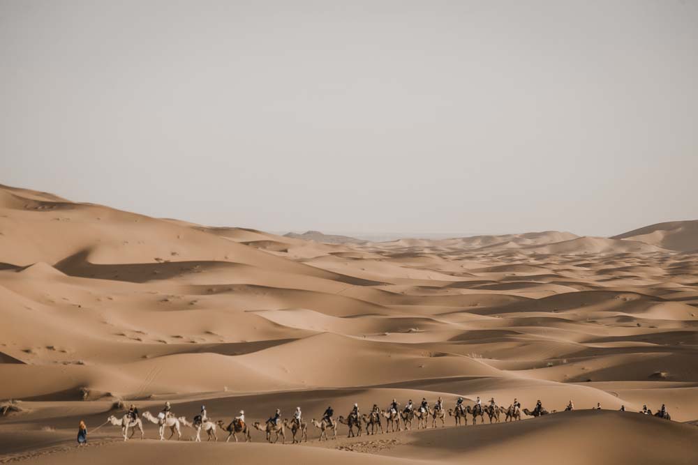 Tour 8 Days Marrakech to Tangier Tour via Fez Chefchaouen Desert