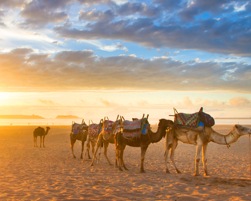 Circuito de 12 Días desde Casablanca de al Desierto Merzouga y Essaouira